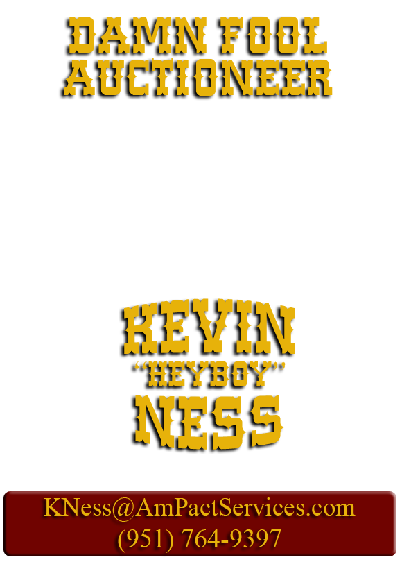 KevinNessAuctioneer2