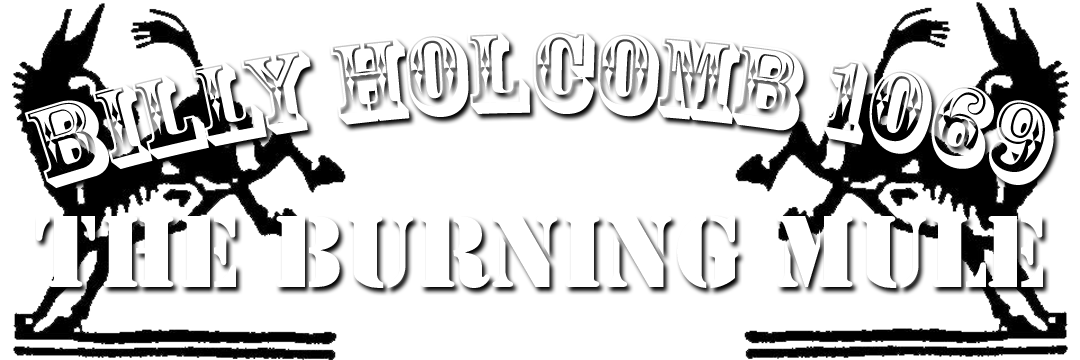 TheBurningMule